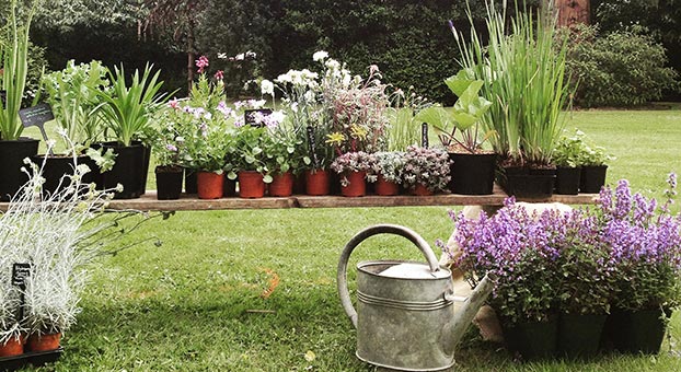 Hotel La Chenevière - Fiesta de las plantas