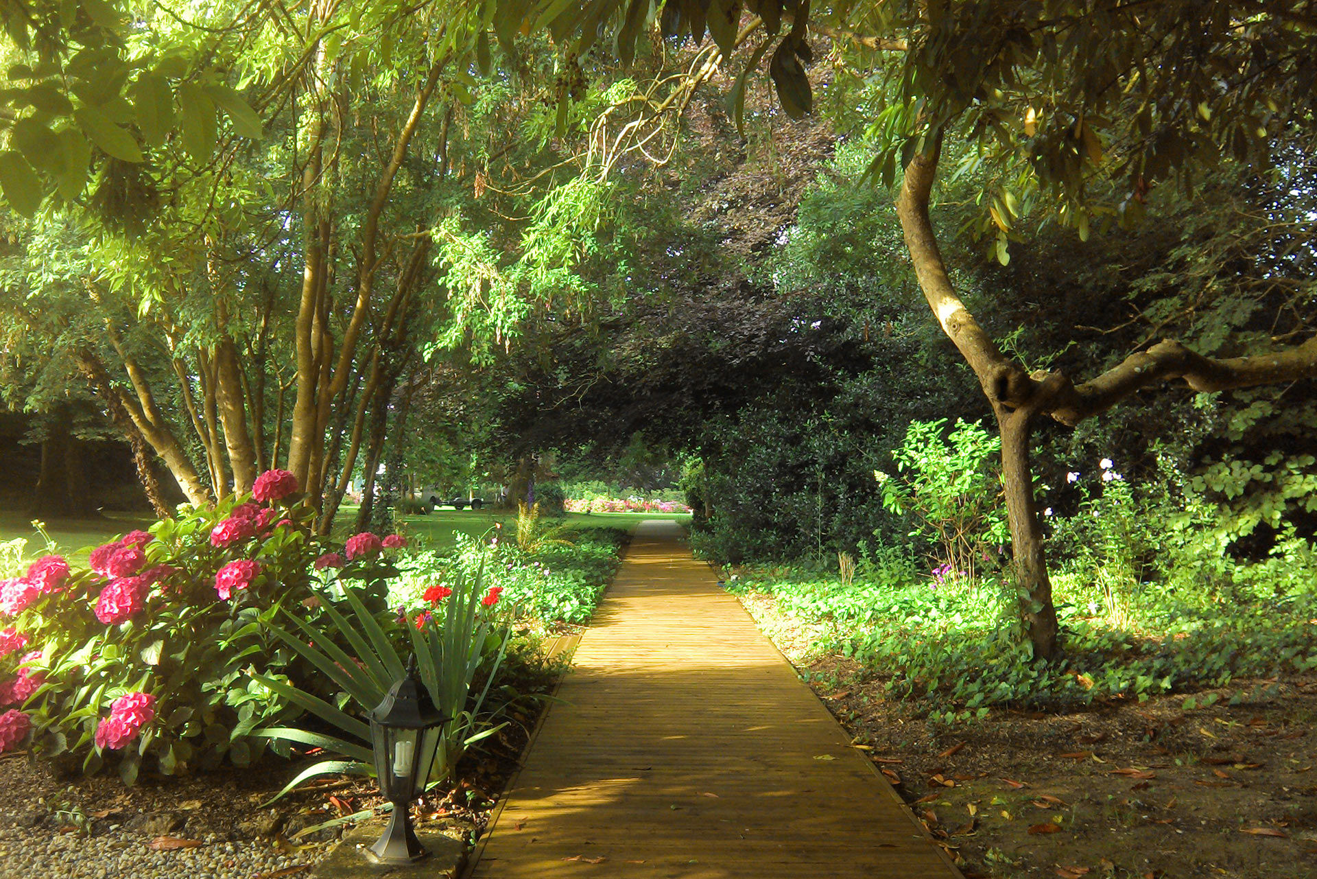 An alley in the park of the Château la Chenevière